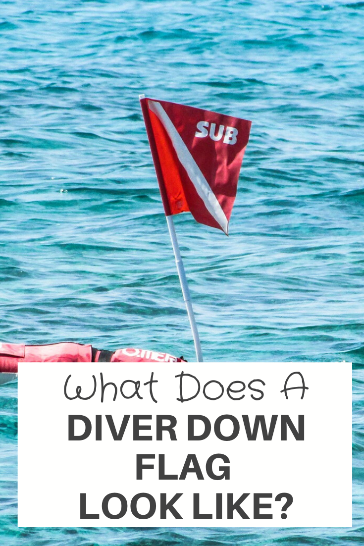 What Does A Diver Down Flag Look Like Xploredive