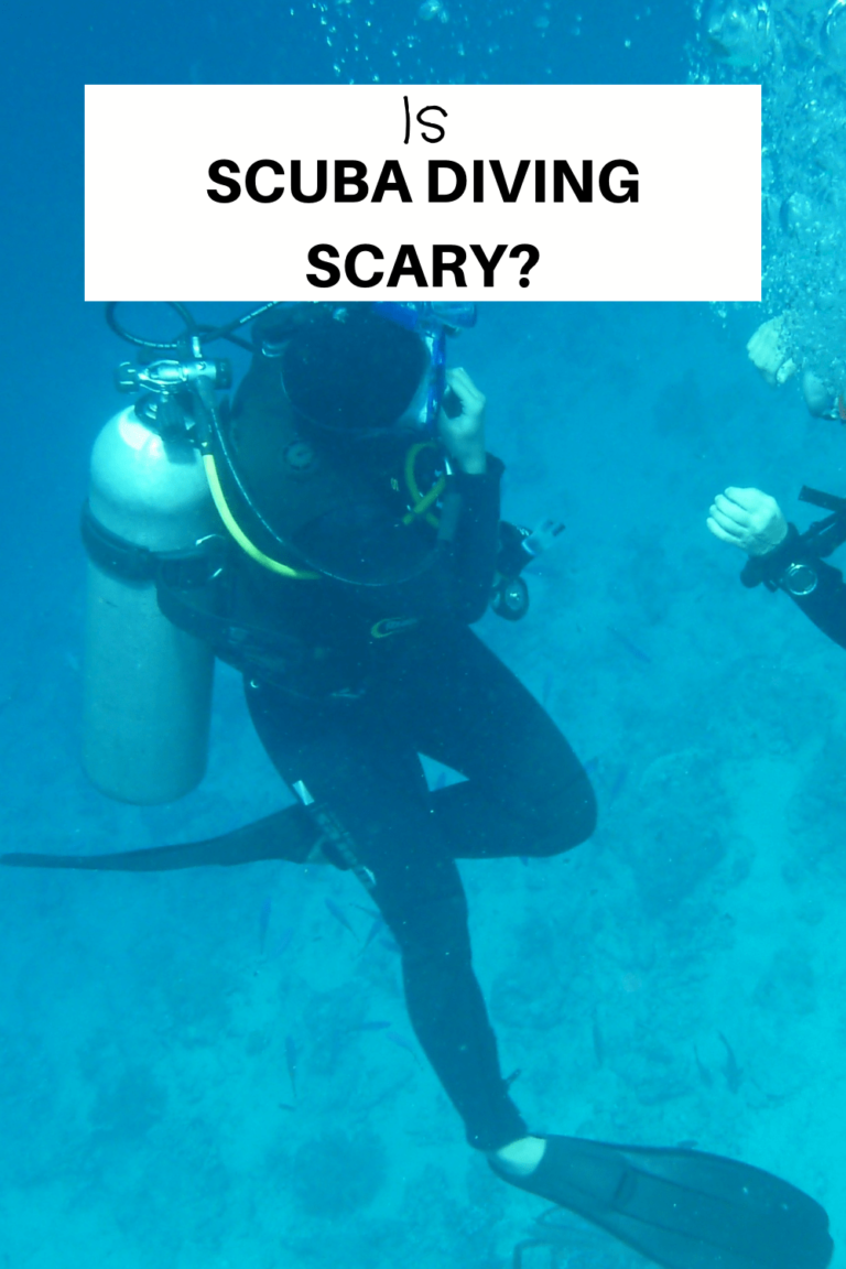 Is Scuba Diving Scary Xploredive