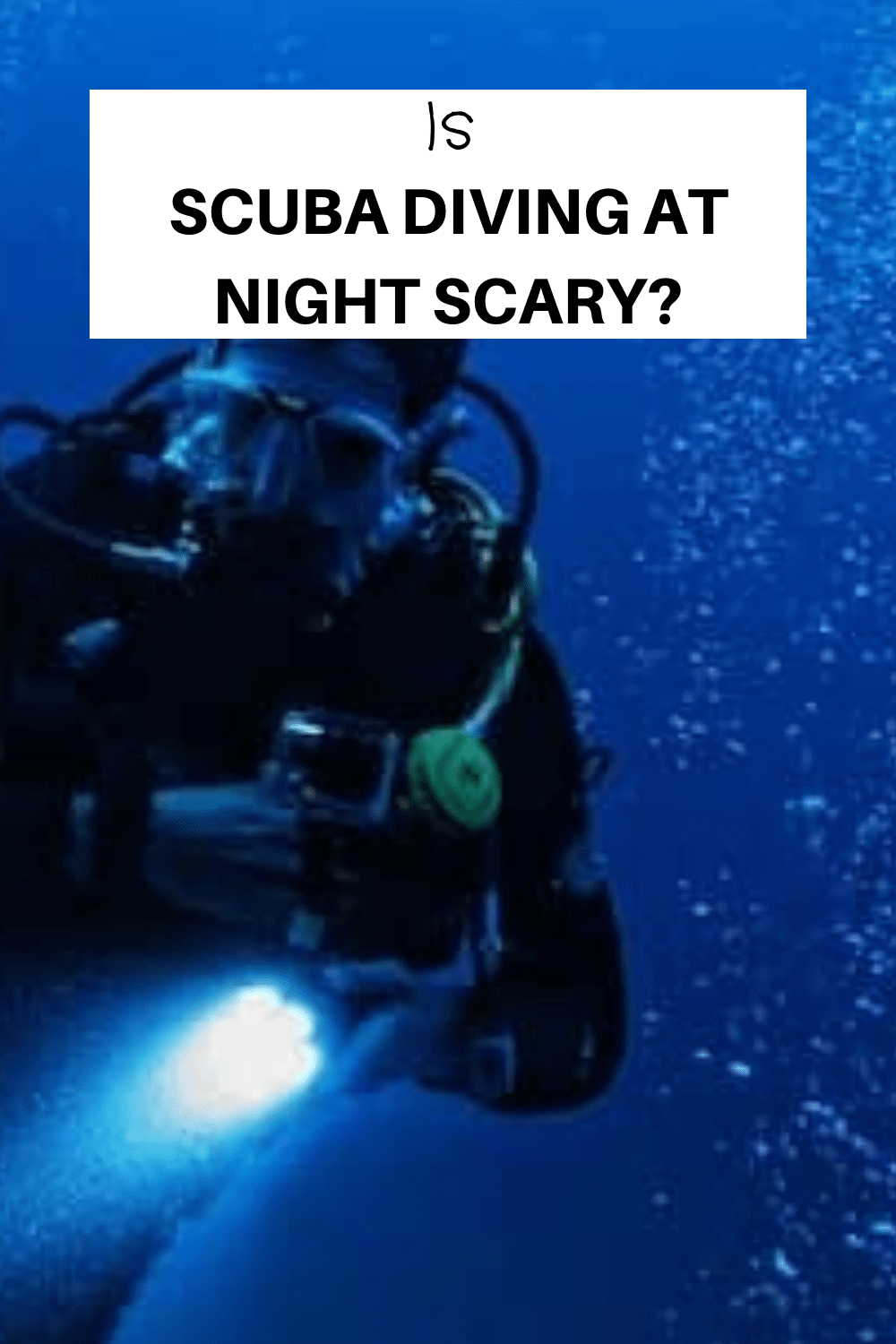 Is Scuba Diving At Night Scary Xploredive