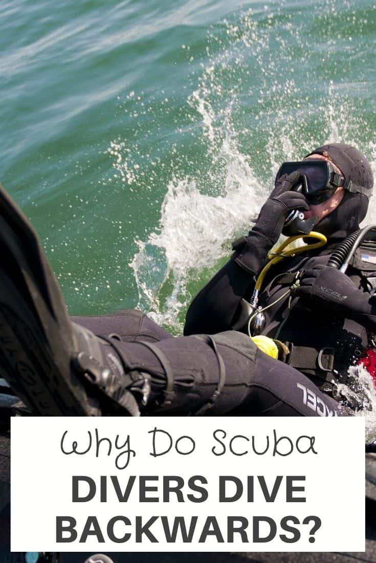 Why Do Scuba Divers Dive Backwards Xploredive 