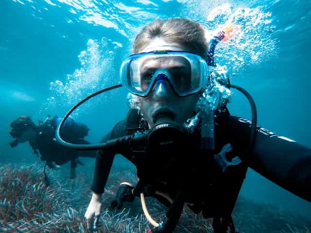 diver diving
