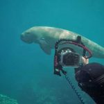 Camera Underwater