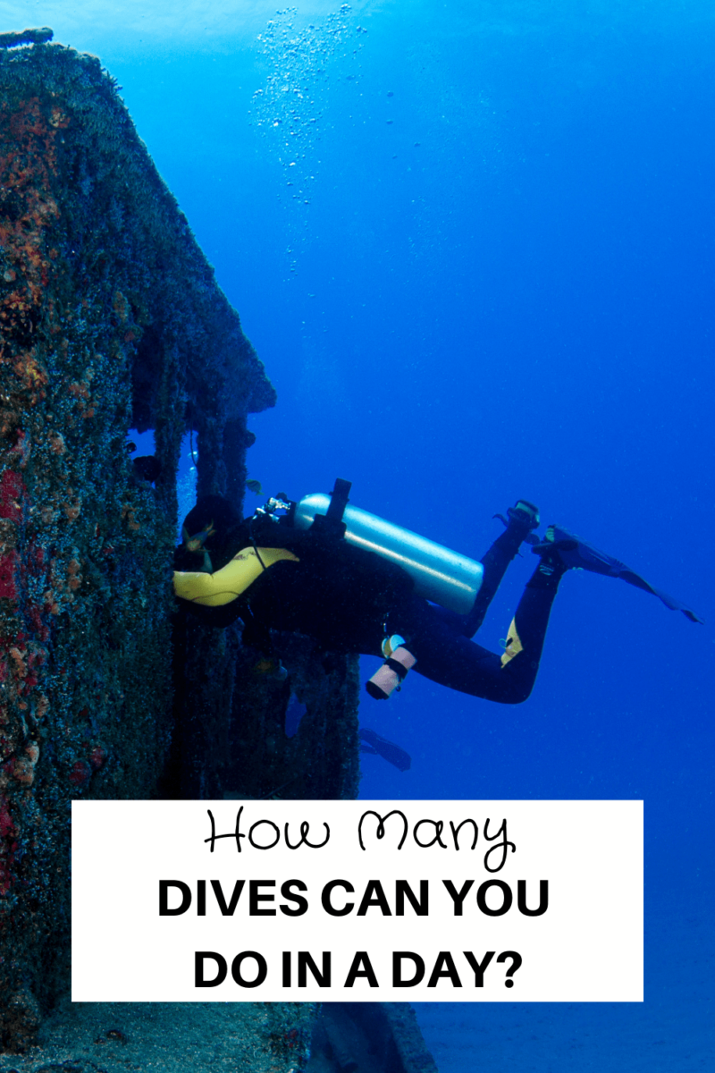 How Many Dives Can You Do In A Day