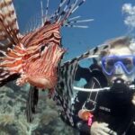 Scuba Diving With Lionfish