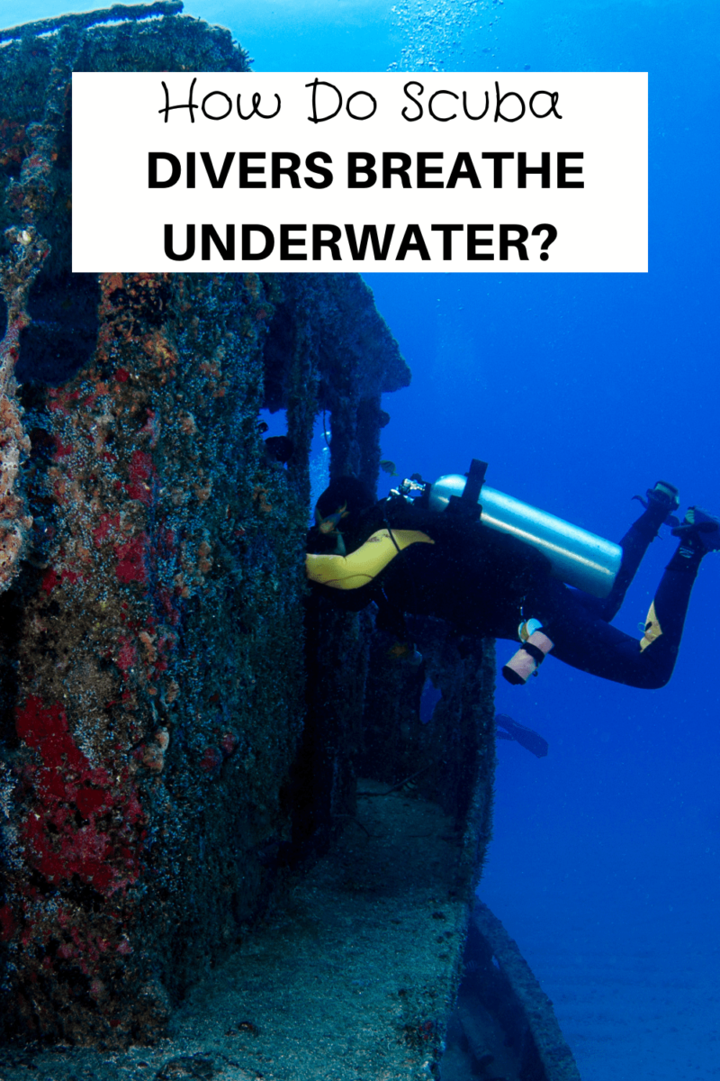 How Do Scuba Divers Breathe Underwater
