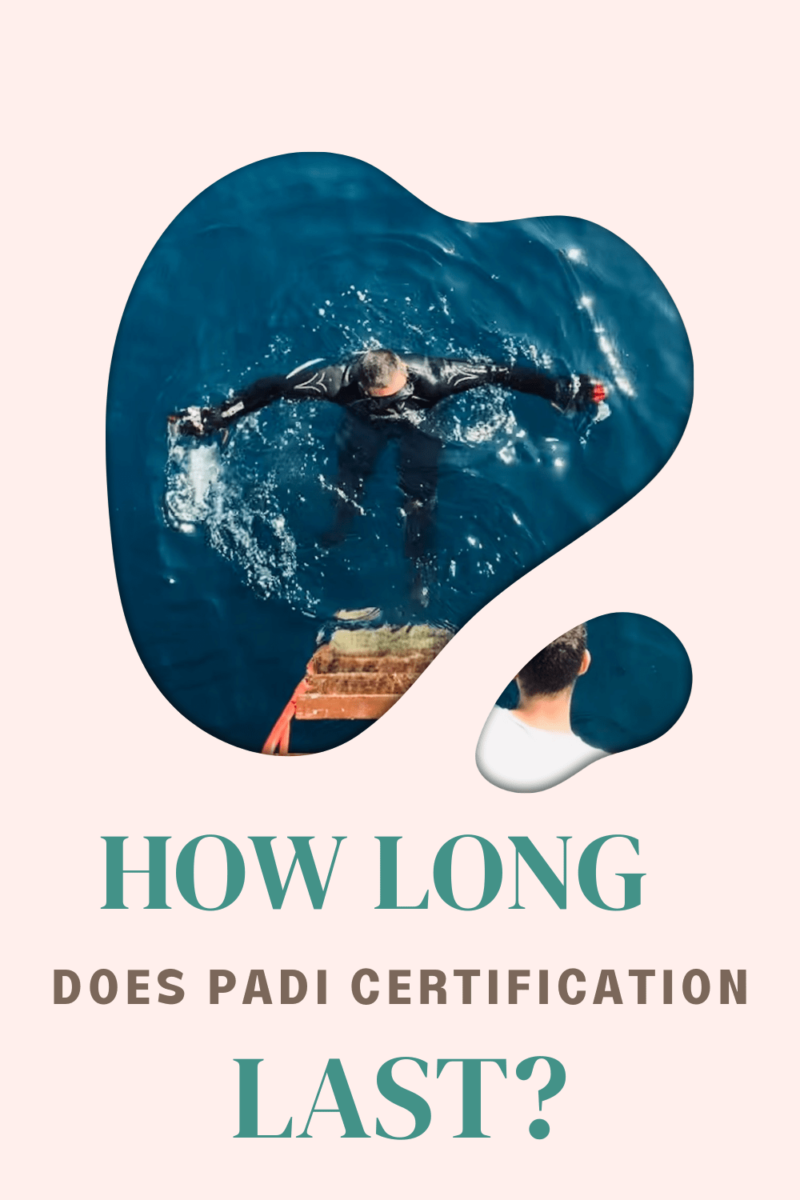 How Long Does PADI Certification Last